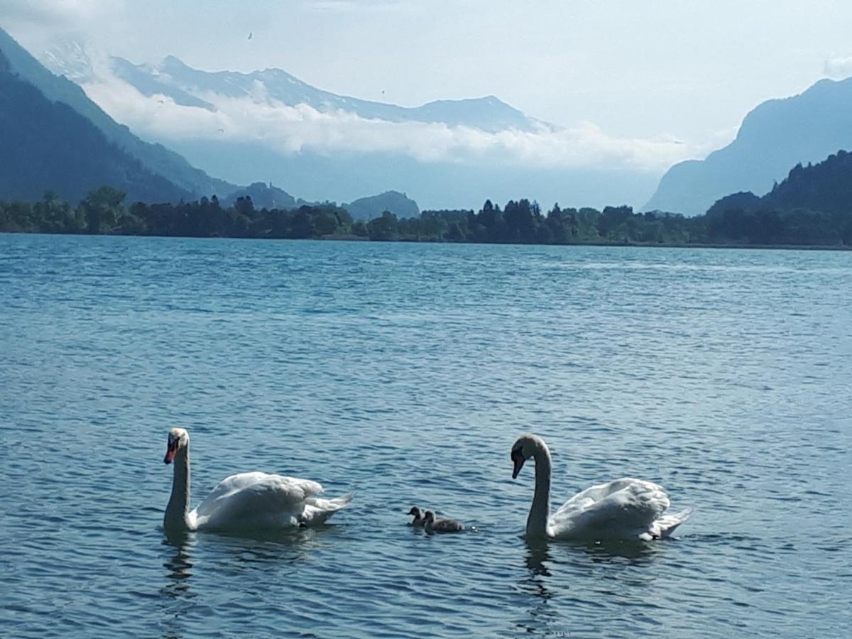 Berner Oberland Am Thunersee Därligen Eksteriør bilde