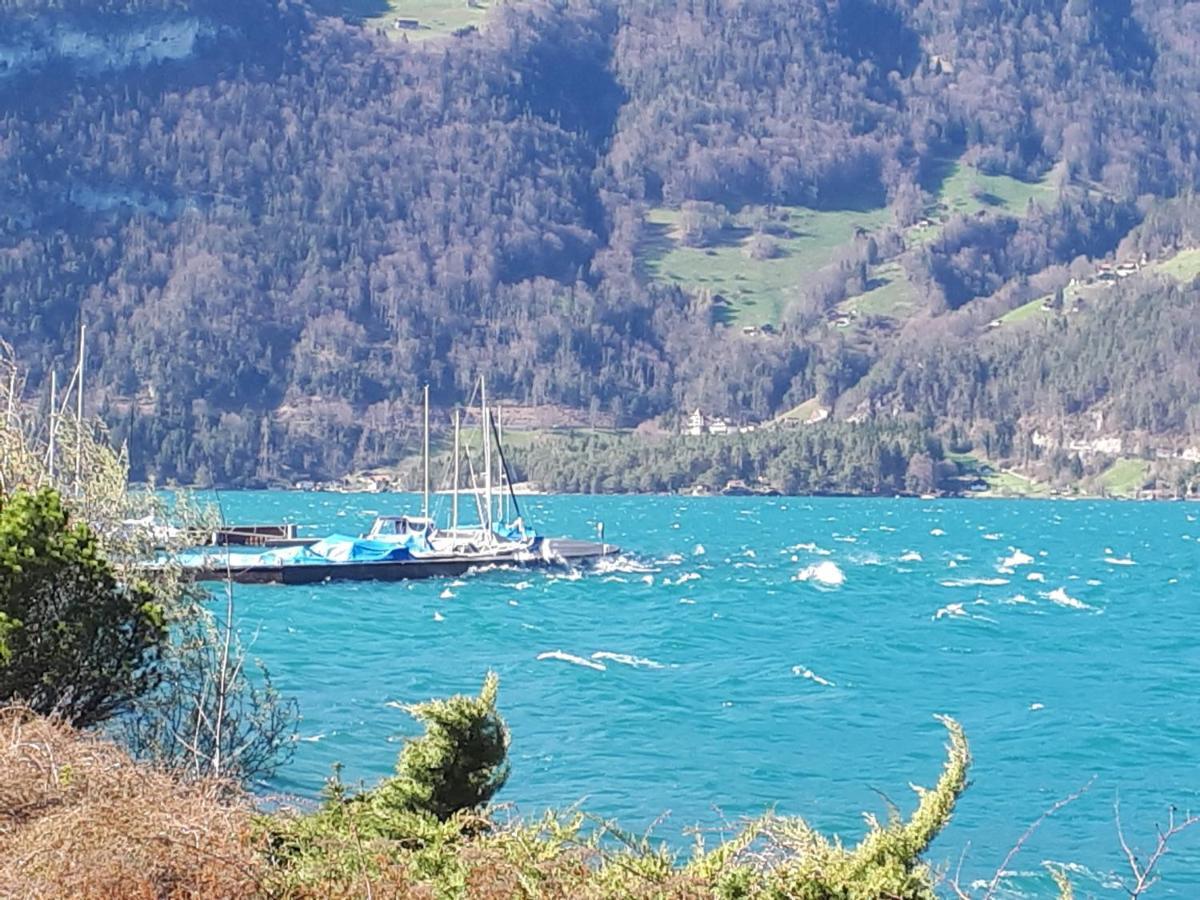 Berner Oberland Am Thunersee Därligen Eksteriør bilde